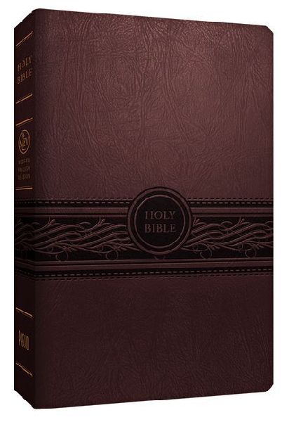 Personal Size Large Print Bible-Mev