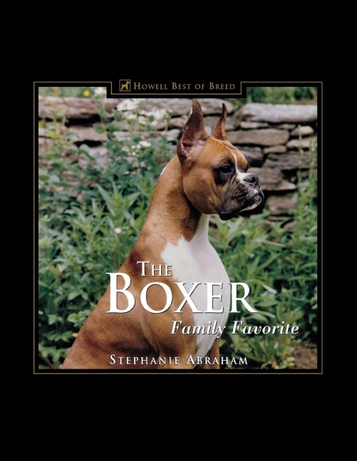 The Boxer: Family Favorite