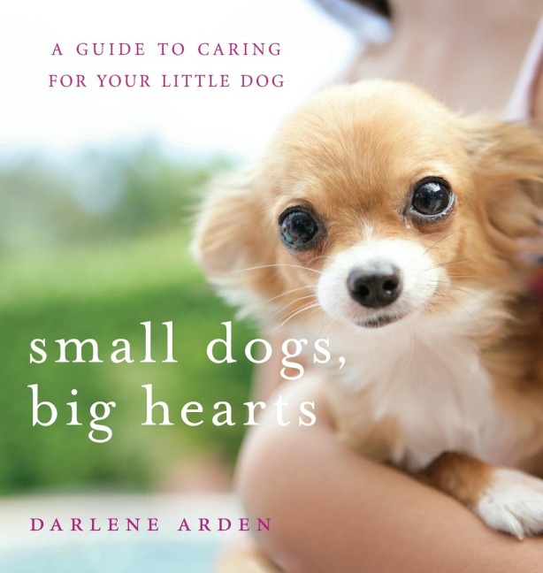 Small Dogs, Big Hearts: A Guide to Caring for Your Little Dog