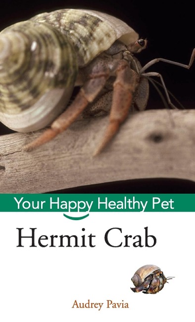 Hermit Crab: Your Happy Healthy Pet