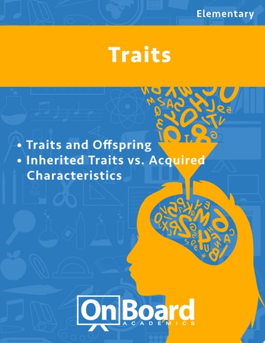 Traits