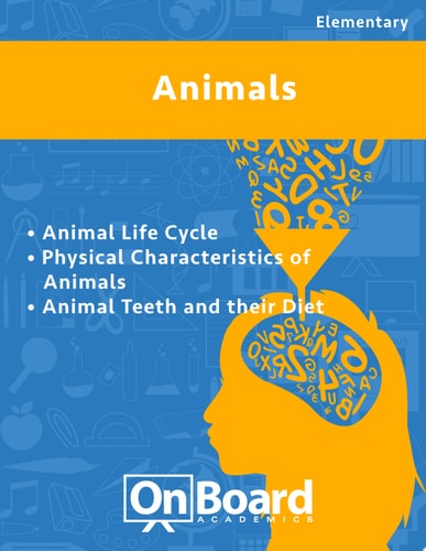 Animals