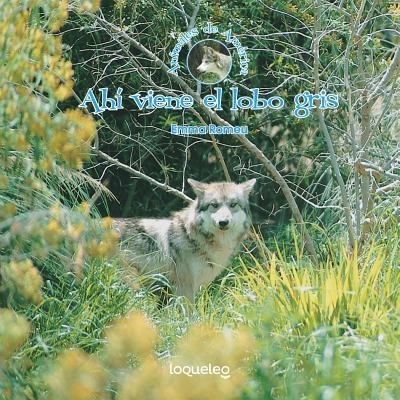 Ahí Viene El Lobo Gris