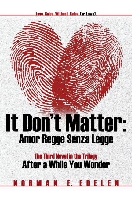 It Dont Matter: Amor Regge Senza Legge (Love Rules Without Rules or Laws) -- The Third Novel in the Trilogy After a While You Wonder