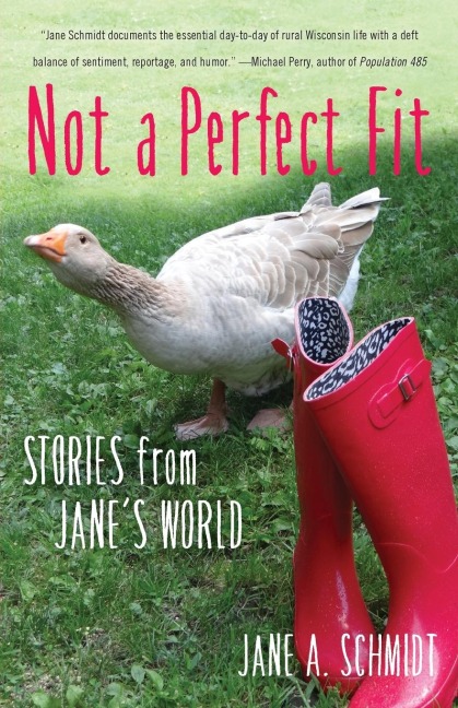 Not a Perfect Fit: Stories from Janes World