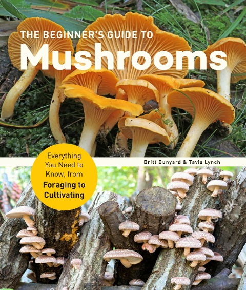 Beginner's Guide to Mushrooms: Everything You Need to Know, from Foraging to Cultivating