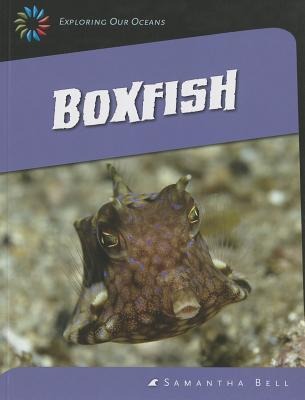 Boxfish
