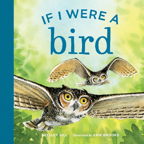 If I Were a Bird: A Board Book for Toddlers Ages 1-3