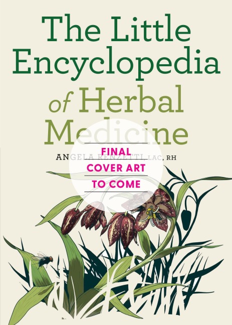 The Little Encyclopedia of Herbal Medicine: 100 Everyday Remedies from a Registered Herbalist and East Asian Medical Practitioner