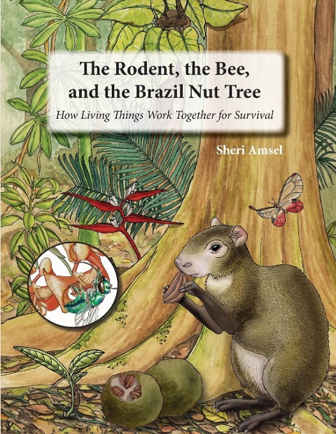 The Rodent, the Bee,  and the Brazil Nut Tree: How Living Things Work Together for Survival