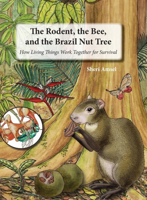 The Rodent, the Bee,  and the Brazil Nut Tree: How Living Things Work Together for Survival