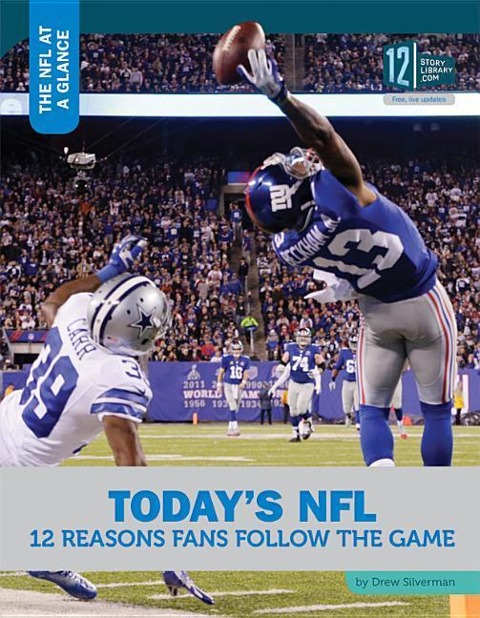 Todays Nfl: 12 Reasons Fans Follow the Game