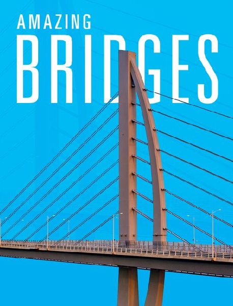 Amazing Bridges