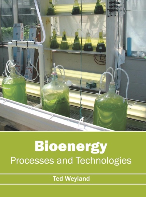 Bioenergy: Processes and Technologies