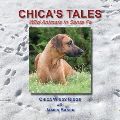 Chicas Tales, Wild Animals in Santa Fe