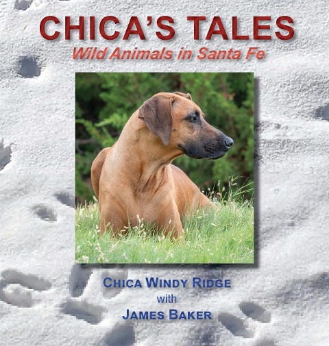 Chicas Tales: Wild Animals in Santa Fe