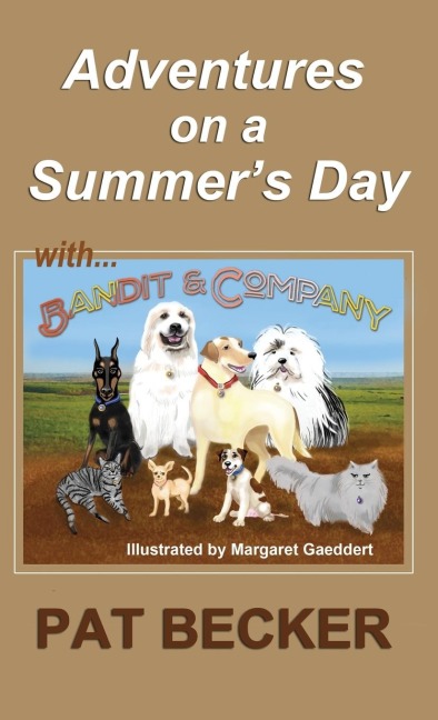 Adventures on a Summers Day: (first of the Bandit and Company series)