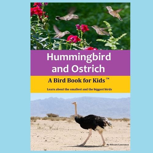 Hummingbird and Ostrich A Bird Book for Kids