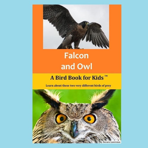 Falcon and Owl A Bird Book for Kids