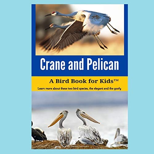Crane and Pelican A Bird Book for Kids(TM)