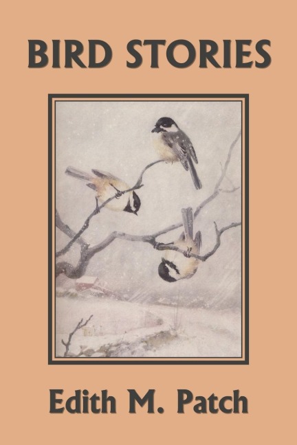Bird Stories (Yesterdays Classics)