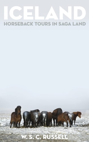 Iceland Horseback Tours in Saga Land