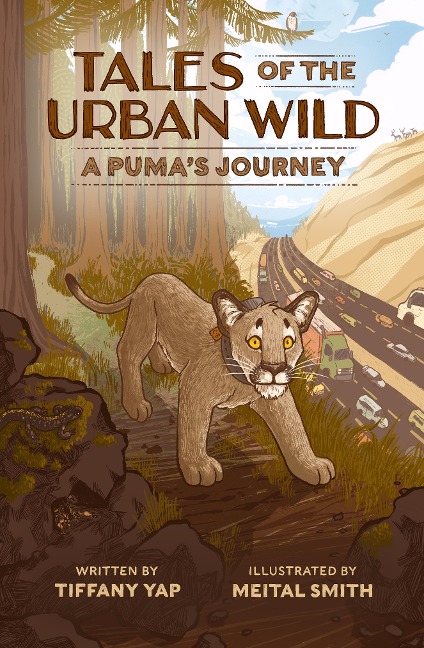 Tales of the Urban Wild: A Pumas Journey