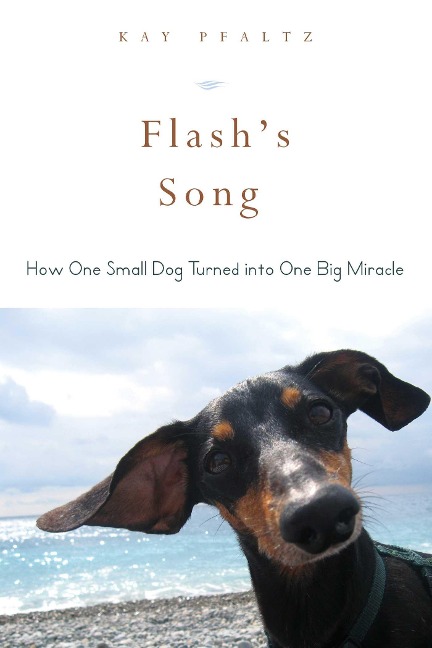 Flashs Song: How One Small Dog Turned Into One Big Miracle