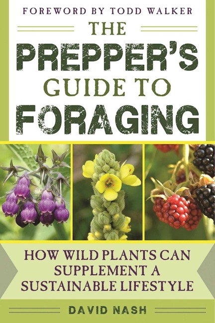 The Preppers Guide to Foraging: How Wild Plants Can Supplement a Sustainable Lifestyle