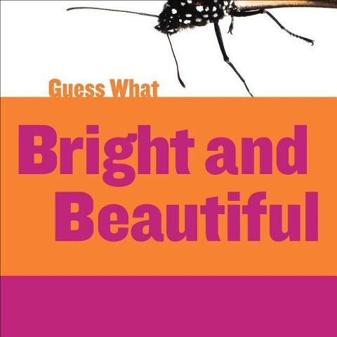 Bright and Beautiful: Butterfly
