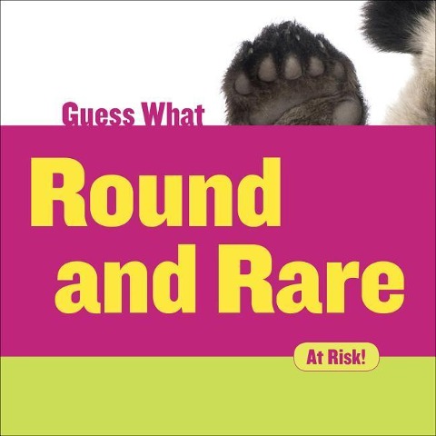 Round and Rare: Giant Panda