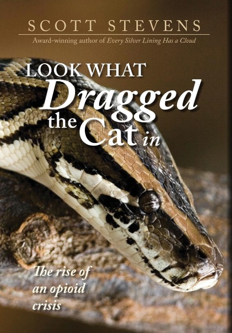 Look What Dragged the Cat In: The rise of an opioid crisis