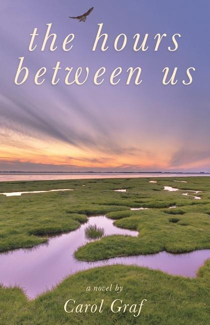 The Hours Between Us