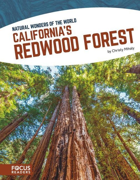 Californias Redwood Forest