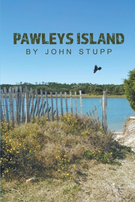 Pawleys Island