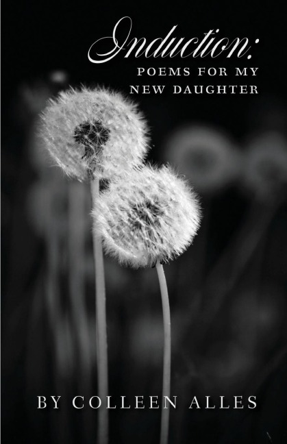 Induction: poems for my new daughter