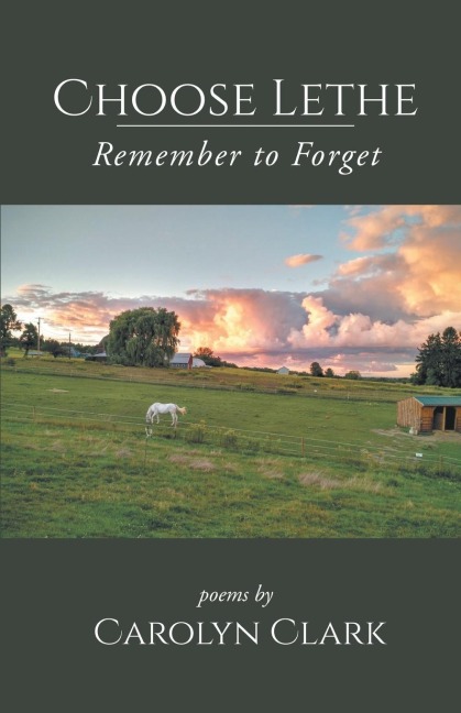 Choose Lethe: Remember to Forget