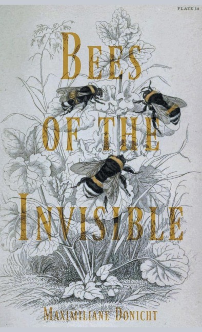 Bees of the Invisible