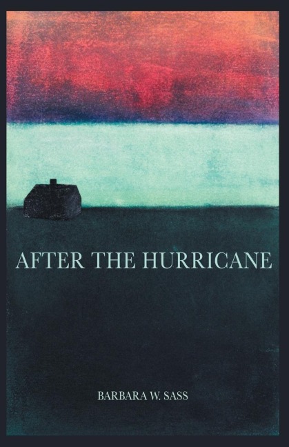 AFTER THE HURRICANE