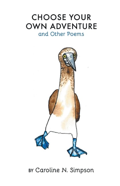 Choose Your Own Adventure and Other Poems
