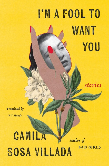 Im a Fool to Want You: Stories