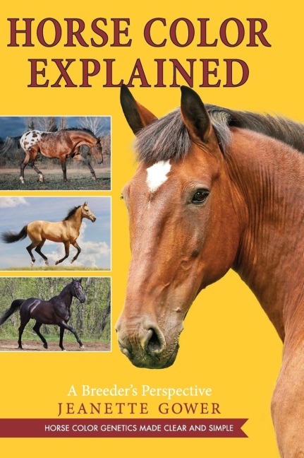 Horse Color Explained: A Breeders Perspective