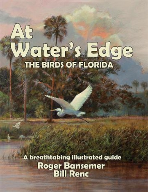 At Waters Edge: The Birds of Florida