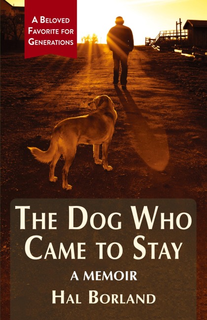 The Dog Who Came to Stay: A Memoir
