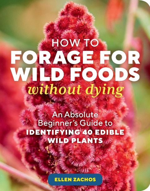 How to Forage for Wild Foods Without Dying: An Absolute Beginners Guide to Identifying 40 Edible Wild Plants