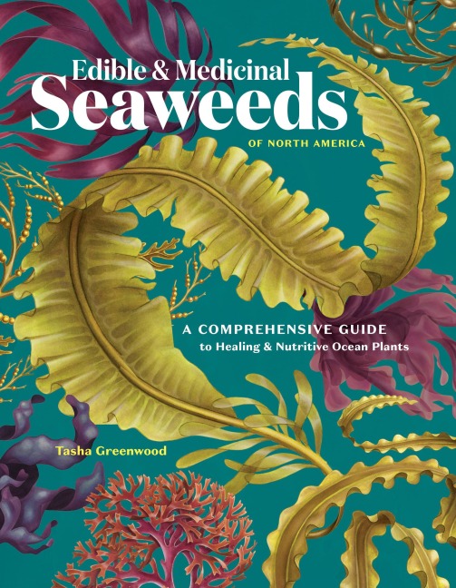 Edible & Medicinal Seaweeds: A Guide to Healing & Nutritive Ocean Plants