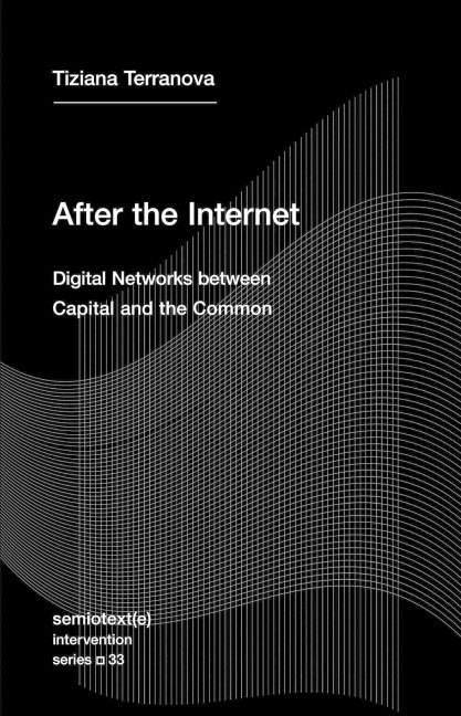 After the Internet: Digital Networks between the Capital and the Common