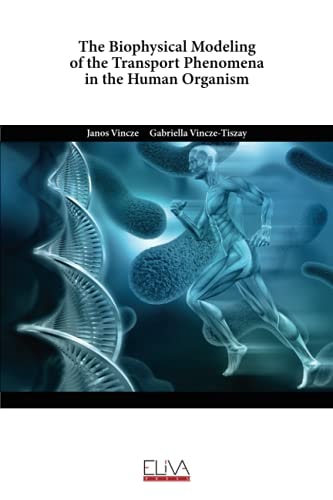 The Biophysical Modeling of the Transport Phenomena in the Human Organism