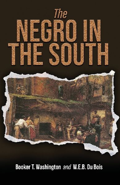 The Negro in the South