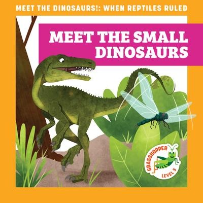 Meet the Small Dinosaurs
